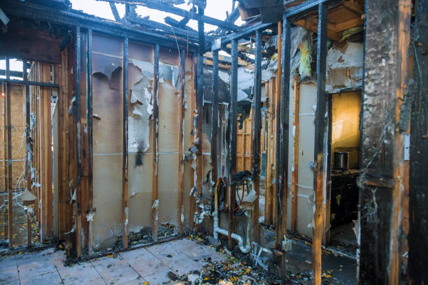 Professional Fire Damage Removal technician working in Albia, IA
